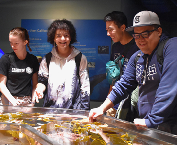 Students at the California Academy of Sciences